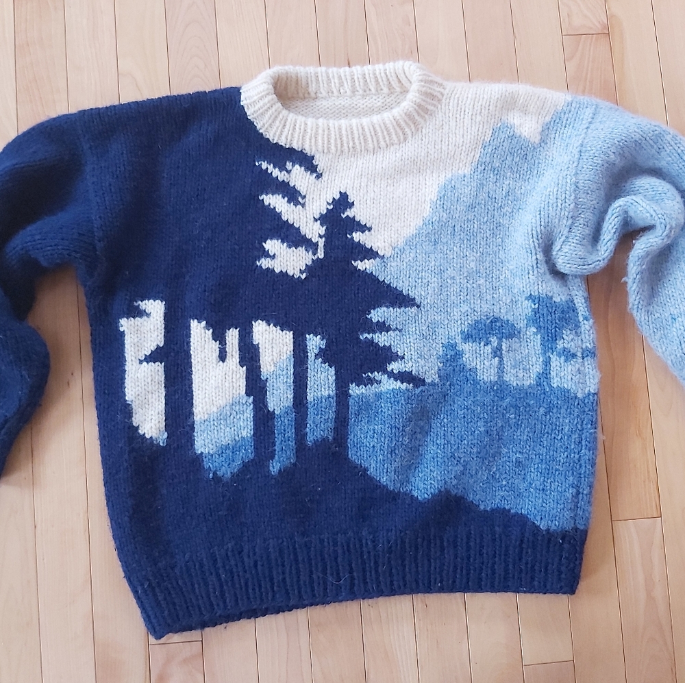 Hand knit wool scenic sweater